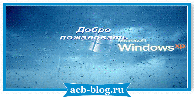 windows XP