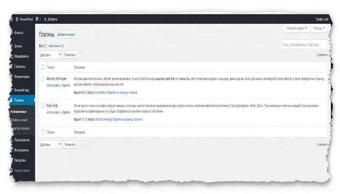 раздел плагины WordPress