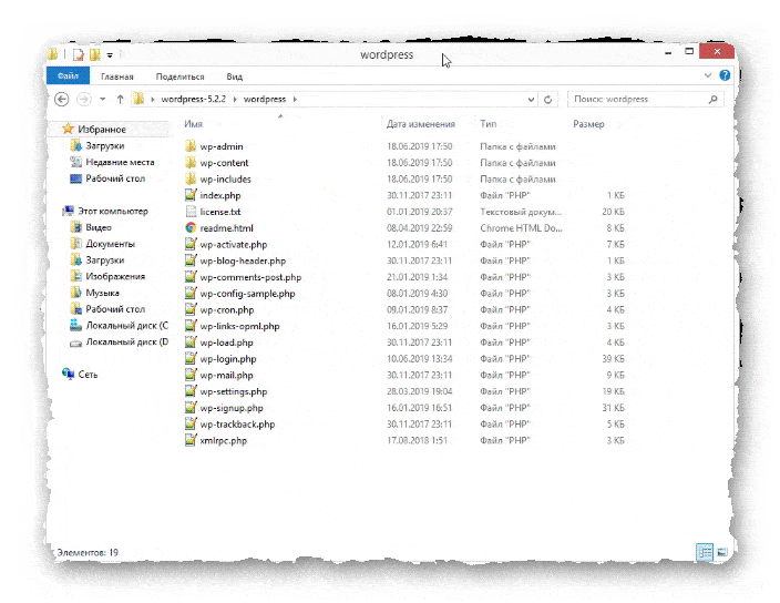 содержимое cms WordPress