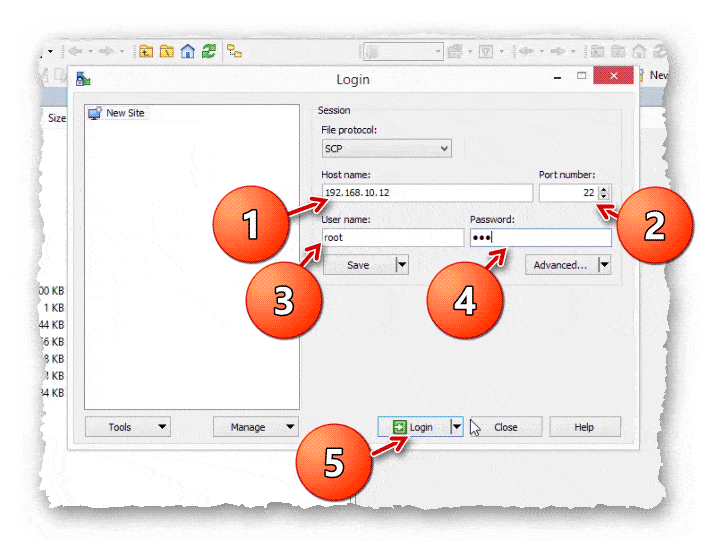 ввод данных для подключения в WinSCP