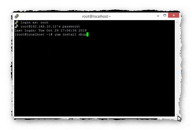 установка DHCP