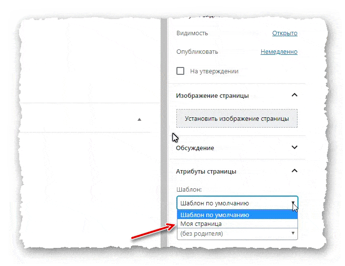 созданный шаблон страницы
