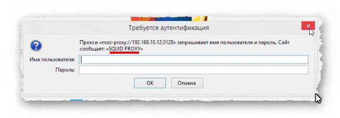 окно авторизации Squid