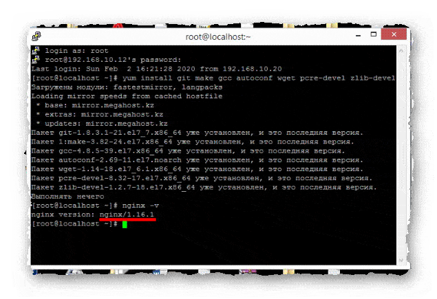 проверка версии nginx