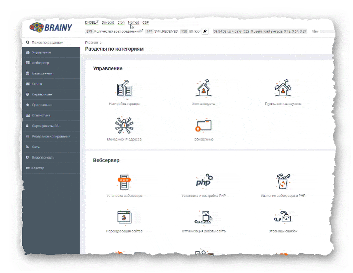 админская часть панели Brainy