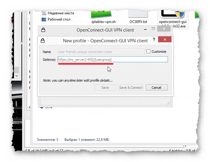 поле ввода данных для подключения к серверу OpenConnect