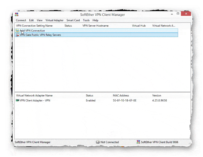 основное окно программы SoftEther VPN Client Manager