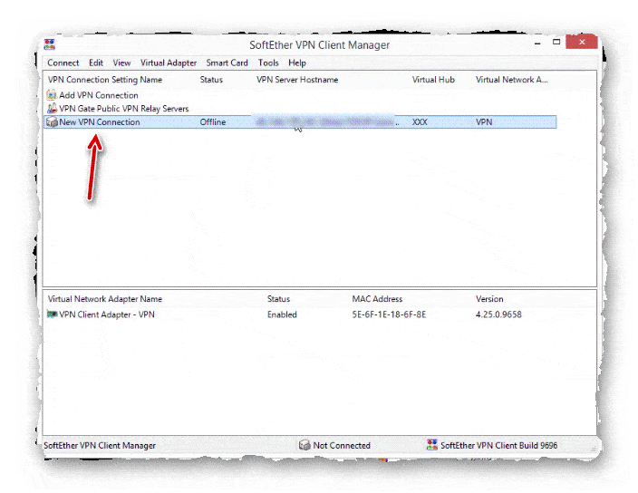 список подключений в программе SoftEther VPN Client Manager