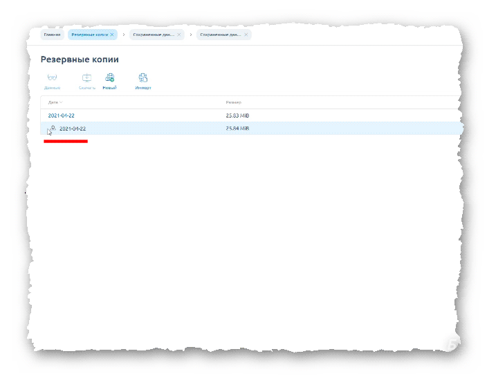 резервная копия сделанная в ручном режиме в ISPmanager
