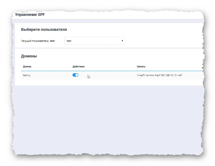 Управление SPF в BrainyCP