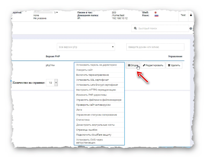 опции сайта в BrainyCP
