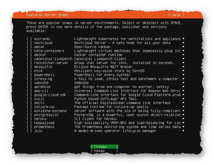выбор популярных продуктов для установки в процессе установки Ubuntu Server 20.04