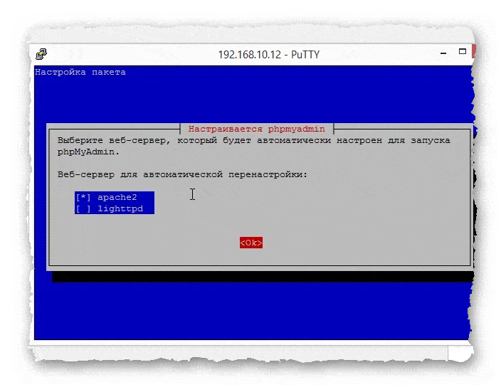 выбор веб-сервера для конфигурации phpMyAdmin