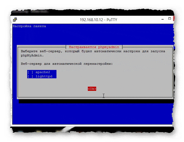 выбор веб-сервера для конфигурации при установке phpMyAdmin