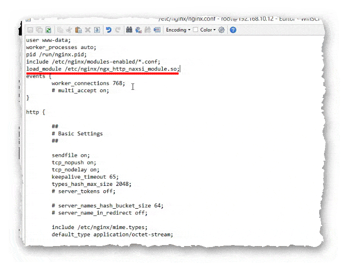 подключение модуля NAXSI в Nginx